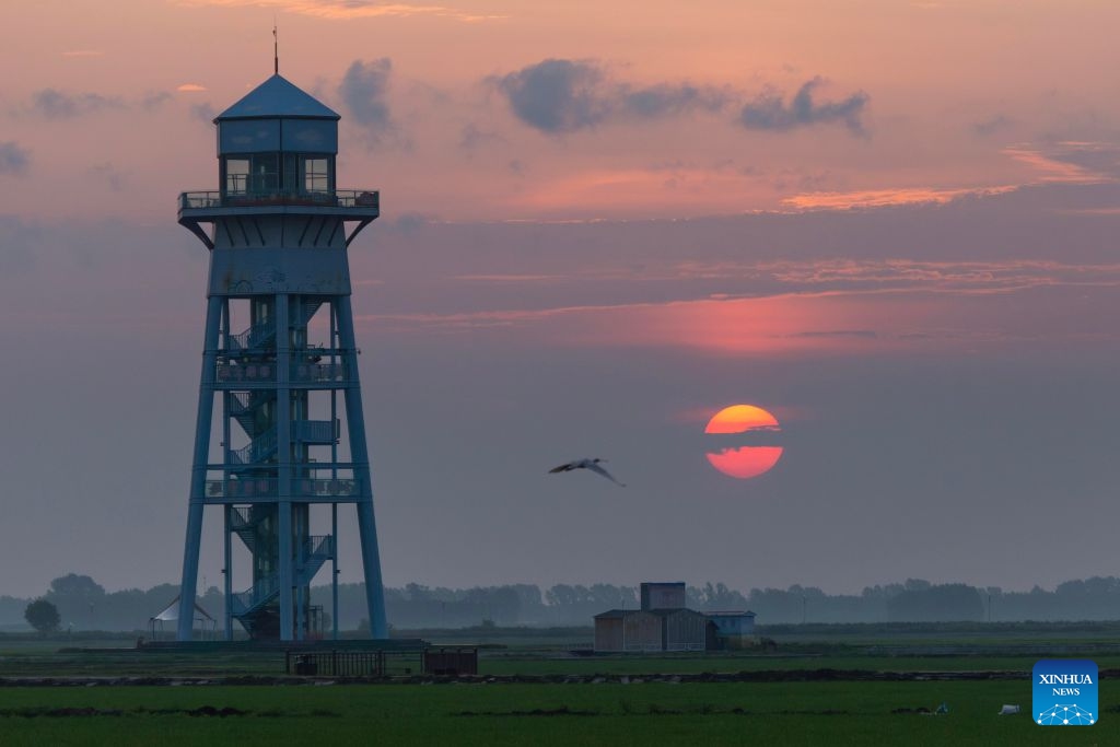 This photo taken on July 7, 2026 shows the sun over the sky in Fujin City, northeast China's Heilongjiang Province. Lesser Heat, or Xiaoshu, one of China's 24 solar terms, fell on Tuesday this year, coinciding with the appearance of the year's smallest sun in the sky. The Earth passed aphelion on Tuesday, the point in its orbit when it is farthest from the sun, making the sun's apparent diameter the smallest of the year. (Photo: Xinhua)