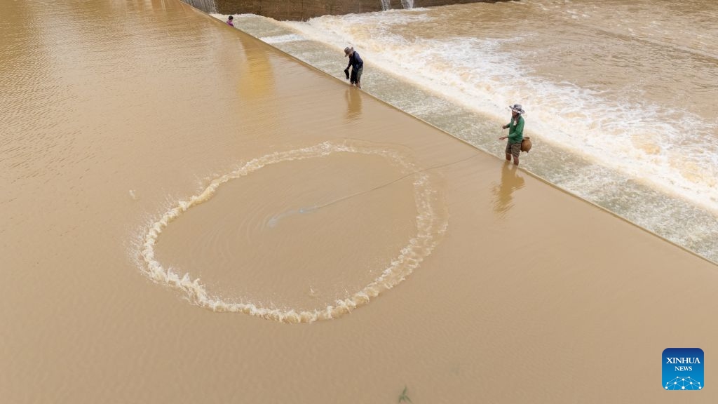 An aerial drone photo shows a fisherman casting a net to catch fish in a lake in Savannakhet province, Laos, July 6, 2026. Located along the bank of the Mekong River, Laos' Savannakhet province boasts rich fishery resources in its lakes and reservoirs, where many fishermen continue to rely on traditional cast nets to make a living. (Photo: Xinhua)