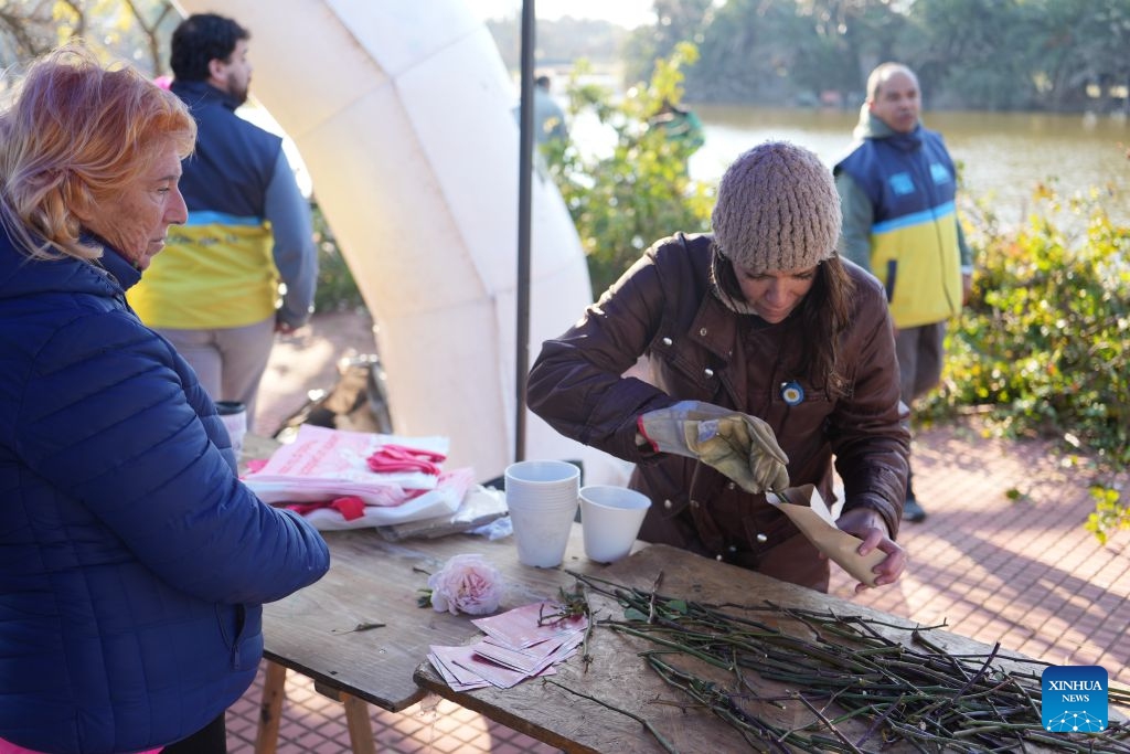 A staff member (R) distribute pruned rose cuttings to residents at the Rose Garden in Palermo, Buenos Aires, the capital of Argentina, on July 6, 2026. The Rose Garden in Palermo, Buenos Aires, the capital of Argentina, has recently begun its 2026 rose-pruning season. The annual winter tradition held every July allows residents to take home pruned rose cuttings to grow in their own gardens. The Rose Garden in Palermo, established in 1914 and covering 3.4 hectares, is one of Buenos Aires' best-known parks. (Photo: Xinhua)