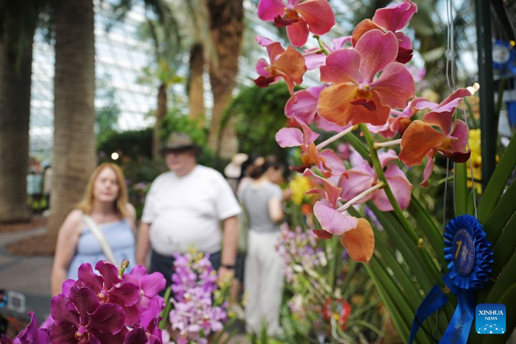 People view orchids from around the world during two orchid exhibitions at Gardens by the Bay in Singapore on July 7, 2026. (Photo: Xinhua)