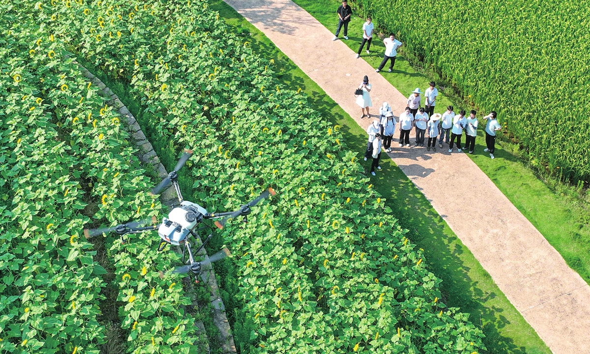 College student volunteers operate a plant protection drone for variable-rate spraying in Yongchuan district, Southwest China's Chongqing Municipality, on July 8, 2026. Teachers and students from a Chongqing university are carrying out a drone-based agricultural assistance program in rural areas, exploring applications of low-altitude economy technologies. Photo: VCG