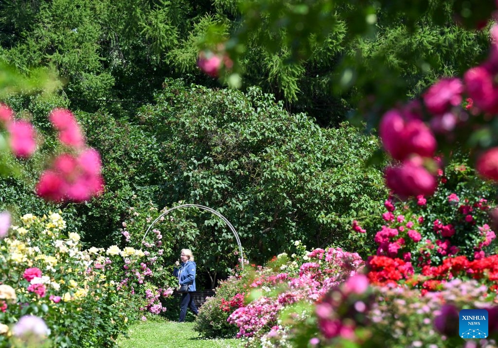 A woman enjoys leisure time at the botanical garden of Moscow State University in Moscow, Russia, July 7, 2026. (Photo: Xinhua)