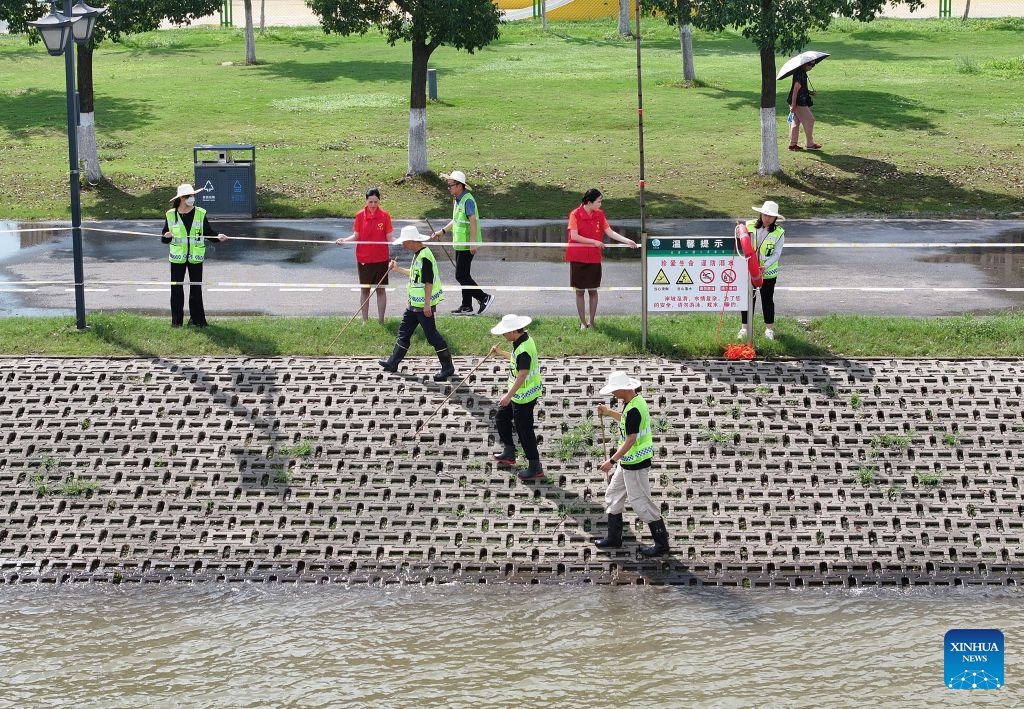 A drone photo taken on July 8, 2026 shows flood control personnel and volunteers checking the condition of a levee along the Yangtze River in Wuchang District of Wuhan, central China's Hubei Province. Affected by heavy rainfall, the water level in Wuhan section of the Yangtze River rose obviously on Wednesday. The water level at the Yangtze Hankou monitoring station reached 25.11 meters, 0.11 meters above the warning mark. (Photo: Xinhua)