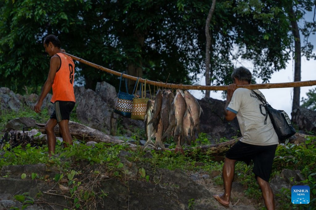 Fishermen move newly-caught fish ashore in Champasak Province, Laos, July 10, 2026. Champasak Province in southern Laos is home to the final section of the Mekong River running through the country, and well noted for a diverse array of river fish and rich aquatic resources. Many locals rely on fishing for their livelihood. (Photo: Xinhua)
