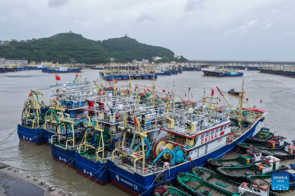 A drone photo taken on July 11, 2026 shows fishing boats docking at a port in Shitang Town of Wenling City, east China's Zhejiang Province. Typhoon Bavi, the ninth typhoon of the year, is expected to make landfall along the coast between Sanmen and Cangnan in east China's Zhejiang Province in the early hours of Sunday. (Photo: Xinhua)