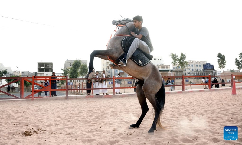 A rider performs at an equestrian club in Sanaa, Yemen, on July 9, 2026. Horse lovers and trainers gathered at an equestrian club in Yemen's capital Sanaa to promote equestrian culture and encourage horse riding ahead of World Horse Day, which falls on July 11. (Photo: Xinhua)