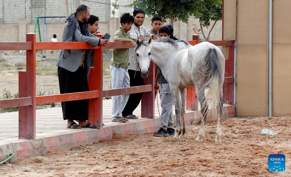 Visitors check an Arabian horse at an equestrian club in Sanaa, Yemen, on July 9, 2026. Horse lovers and trainers gathered at an equestrian club in Yemen's capital Sanaa to promote equestrian culture and encourage horse riding ahead of World Horse Day, which falls on July 11. (Photo: Xinhua)