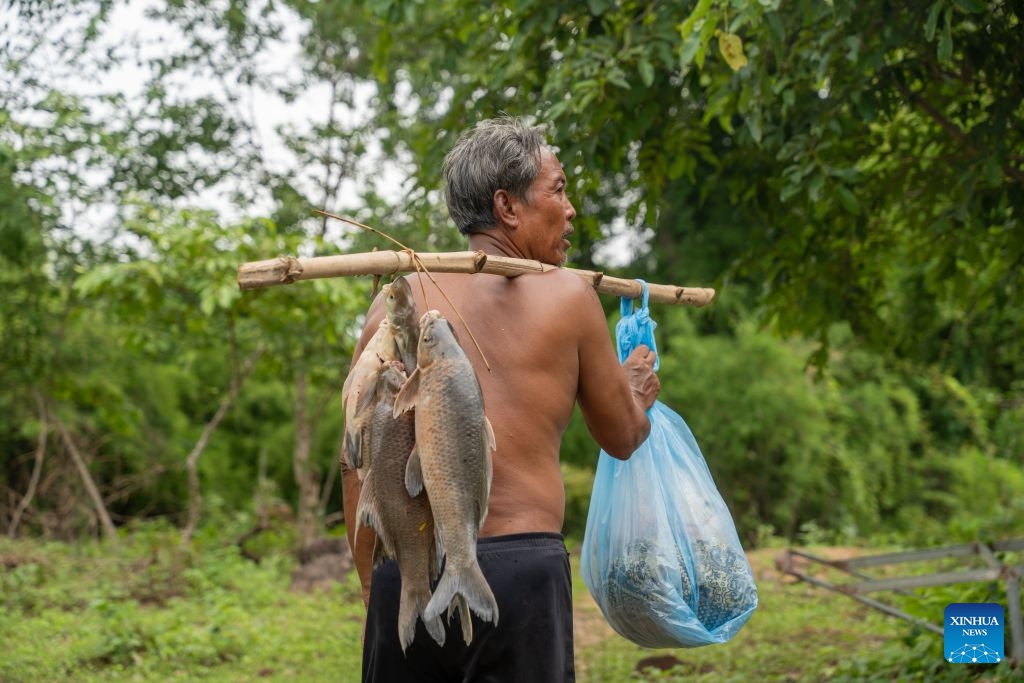 A fisherman walks with fish he has just caught in Champasak Province, Laos, July 10, 2026. Champasak Province in southern Laos is home to the final section of the Mekong River running through the country, and well noted for a diverse array of river fish and rich aquatic resources. Many locals rely on fishing for their livelihood. (Photo: Xinhua)
