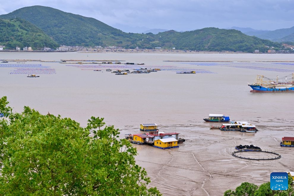 Fishermen are evacuated to the land in Shacheng Town of Fuding, southeast China's Fujian Province, July 11, 2026. Fujian has maintained its Level II typhoon emergency response and activated a Level III flood control emergency response as Typhoon Bavi nears China's east coast on Saturday. Local officials have implemented precautionary measures to prevent the Typhoon Bavi, including evacuating residents and inspecting geological hazard sites. Temporary shelters were fully stocked with supplies and medical resources. (Photo: Xinhua)