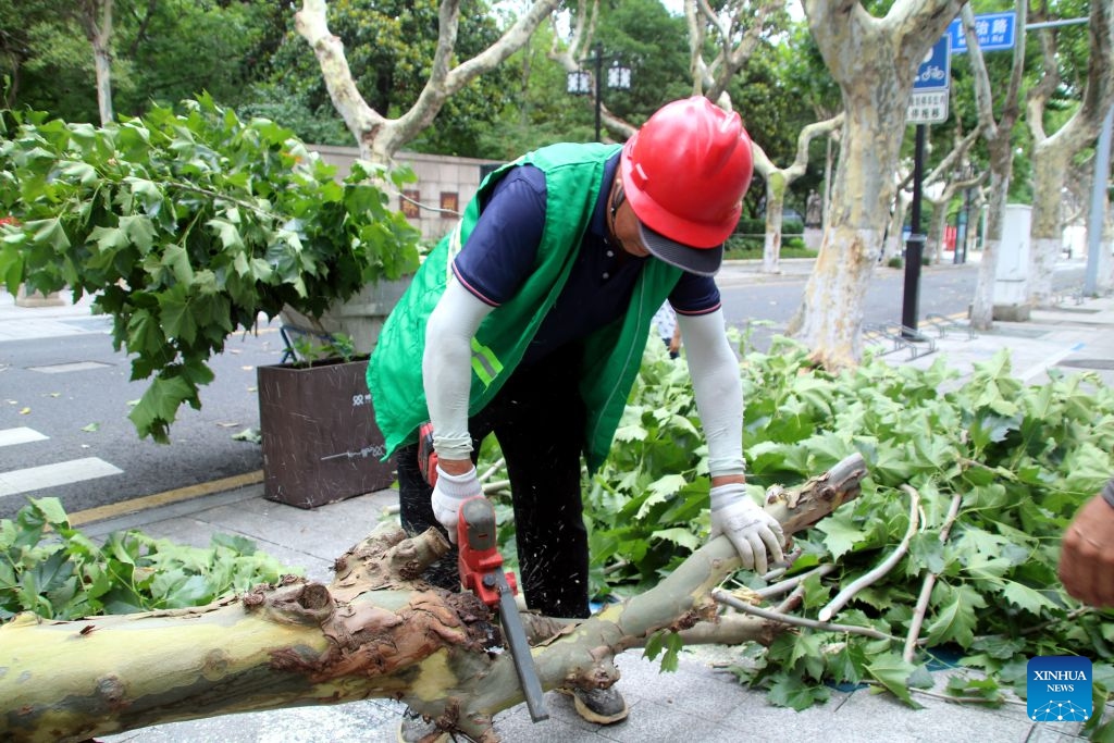 A landscaping worker cuts a tree blown down by strong winds in Suzhou, east China's Jiangsu Province, July 12, 2026. As extreme weather has battered multiple regions across China in recent days, local authorities have implemented disaster prevention and relief measures to safeguard people's lives and property. (Photo: Xinhua)