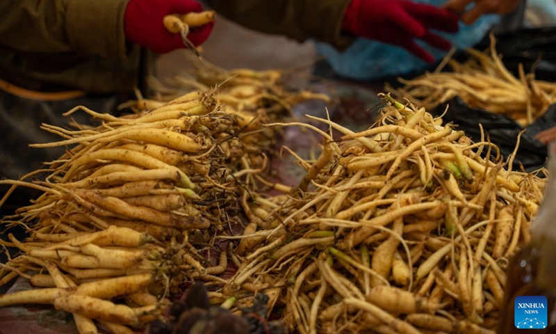 This photo taken on July 13, 2026 shows the ginseng being sold at a local market in Dakcheung district, Sekong Province, Laos. (Photo: Xinhua)