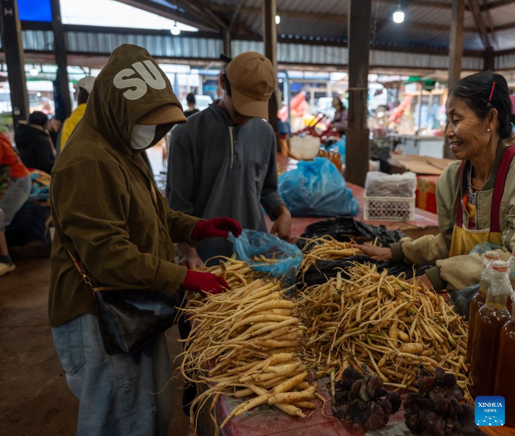 This photo taken on July 13, 2026 shows the ginseng being sold at a local market in Dakcheung district, Sekong Province, Laos. (Photo: Xinhua)