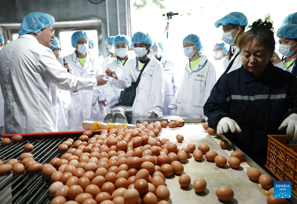 Members of a study tour visit a chicken farming enterprise in Xiuyan Man Autonomous County, northeast China's Liaoning Province, July 12, 2026. Nearly 50 international teachers and students from five countries, including Mongolia, Greece, Thailand, Vietnam and Indonesia, joined the study tour, visiting modern agricultural production sites in northern China and enjoying immersive experiences of traditional Chinese culture. (Photo: Xinhua)
