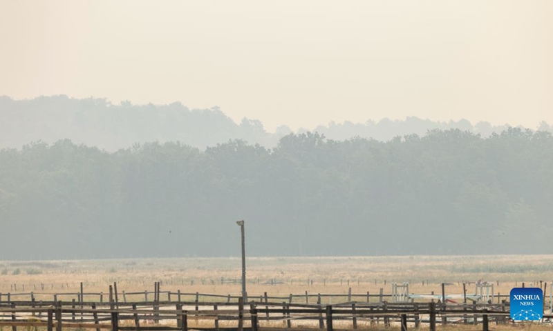This photo taken on July 14, 2026 shows trees shrouded in smoke from a wildfire in Seine-et-Marne, France. French police have detained 59 people across the country in connection with wildfires, including two suspects linked to the blaze in the Fontainebleau forest in Seine-et-Marne department, southeast of Paris, French Interior Minister Laurent Nunez said on Monday. The wildfire in the Fontainebleau forest broke out on Sunday evening and continued to spread on Monday. (Photo: Xinhua)