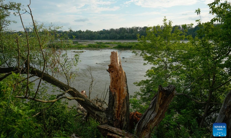 A tree trunk is pictured by the Vistula River in Warsaw, Poland, on July 13, 2026. Poland's longest river, the Vistula, has fallen to historically low water levels amid drought. Recent data from the Institute of Meteorology and Water Management showed that the river level at the Warsaw-Bulwary monitoring station had dropped to 19 centimeters, far below the normal level of around 230 centimeters. (Photo: Xinhua)