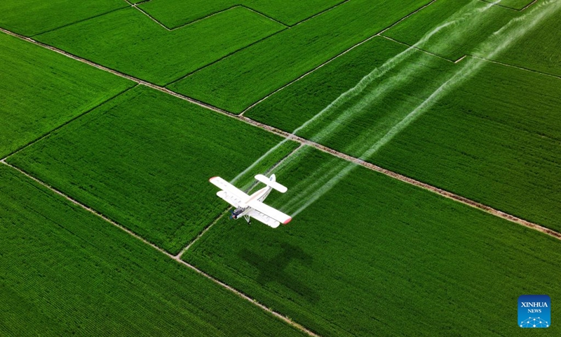 An aerial drone photo taken on July 14, 2026 shows an agricultural plane carrying out aerial crop protection operations over a paddy field of Beidahuang Group in northeast China's Heilongjiang Province. China's northern regions have entered a critical period for the prevention and control of crop diseases and pests. Various agricultural production units under Beidahuang Group in Heilongjiang Province have launched aerial crop protection operations over farmlands in succession, ensuring sound crop growth. (Photo: Xinhua)