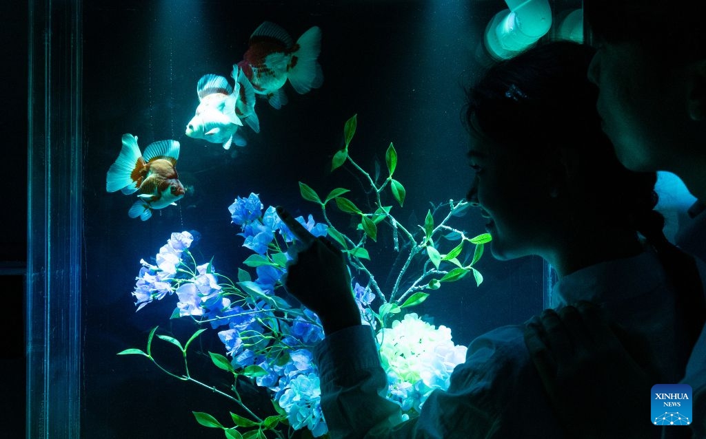 People view fishes in an illuminated tank during an art exhibition at the Lotte World Aquarium in Seoul, South Korea, July 15, 2026. (Photo: Xinhua)