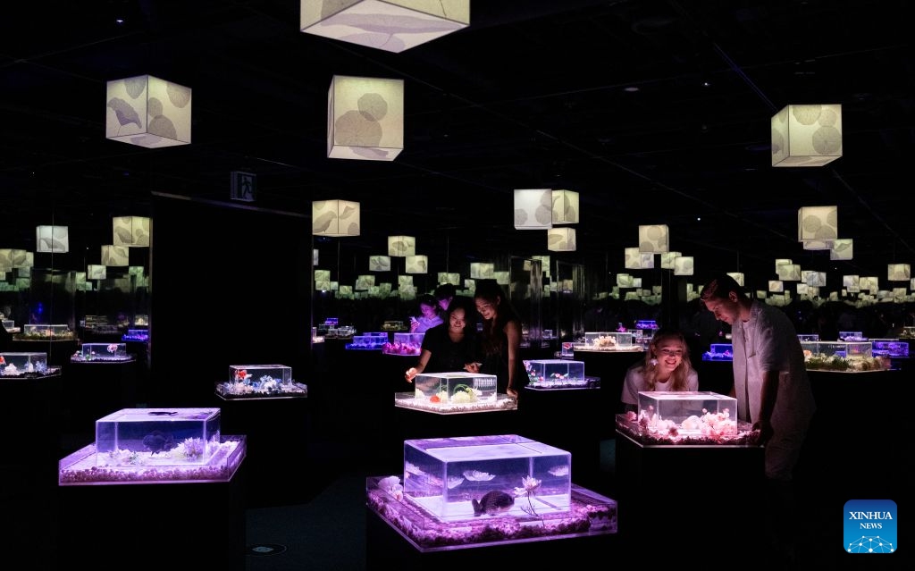 People view fishes in illuminated tanks during an art exhibition at the Lotte World Aquarium in Seoul, South Korea, July 15, 2026. (Photo: Xinhua)