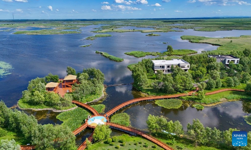 A drone photo taken on July 16, 2026 shows a view of the Fujin National Wetland Park in Fujin City, northeast China's Heilongjiang Province. Thanks to years of ecological restoration, the Fujin National Wetland Park now features a thriving ecosystem and breathtaking natural beauty. (Photo by Qu Yubao/Xinhua)

