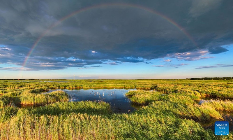 A drone photo taken on July 16, 2026 shows a rainbow appearing over the Fujin National Wetland Park in Fujin City, northeast China's Heilongjiang Province. Thanks to years of ecological restoration, the Fujin National Wetland Park now features a thriving ecosystem and breathtaking natural beauty. (Photo by Qu Yubao/Xinhua)

