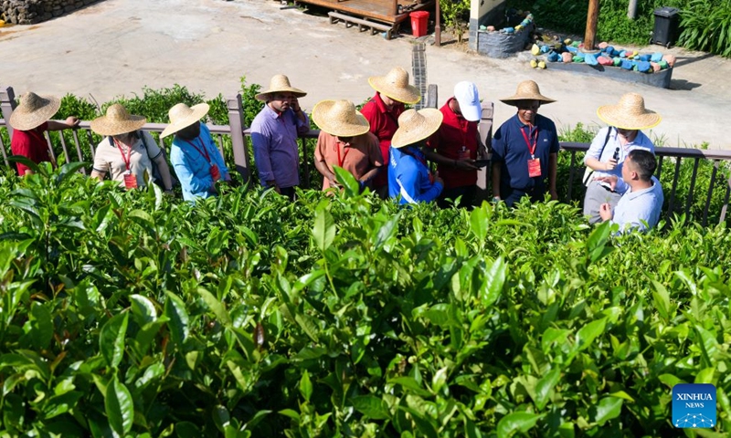 Diplomatic envoys visit a tea plantation base in Wuzhishan City, south China's Hainan Province, July 23, 2026. At the invitation of the Chinese Ministry of Foreign Affairs, more than 30 ambassadors and senior diplomats visited Sanya, Wuzhishan, Qionghai, Wenchang and Haikou in south China's Hainan Province from Wednesday to Saturday. During the visit, they explored Hainan's scientific and technological innovation, and the development of the Hainan Free Trade Port. (Xinhua/Yang Guanyu)