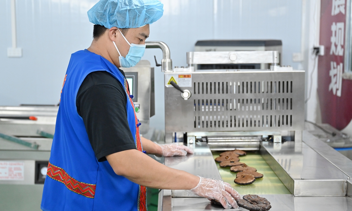 A worker feeds fresh lingzhi mushrooms into a slicing machine at a factory Woshui township in Qingyuan, South China's Guangdong Province on July 16, 2026. It's the peak harvest season for lingzhi mushrooms transported to processing facilities and turned into value-added products such as slices, tea bags, and infused wines. Photo: VCG