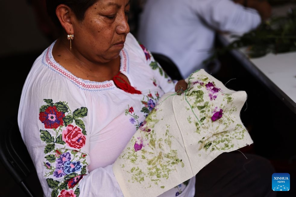 A person makes eco-printing works at the San Angel Flower Fair in Mexico City, Mexico, July 14, 2026. The annual event features flower markets, handicraft displays and cultural performances, highlighting local horticulture traditions, folk art and the historic charm of the district. (Photo: Xinhua)