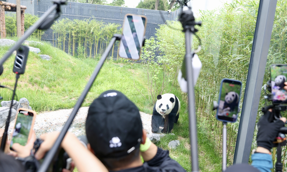 A new habitat for the giant pandas at Beijing Zoo officially opens to the public on July 16, 2026. On its first day, large numbers of residents and tourists visited the pavilion to see giant pandas, including the popular panda Meng Lan. Photo: CNS Photo