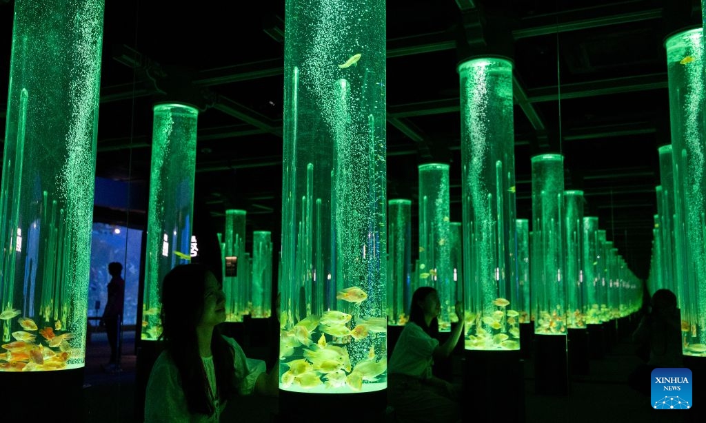 People view fishes in illuminated tanks during an art exhibition at the Lotte World Aquarium in Seoul, South Korea, July 15, 2026. (Photo: Xinhua)