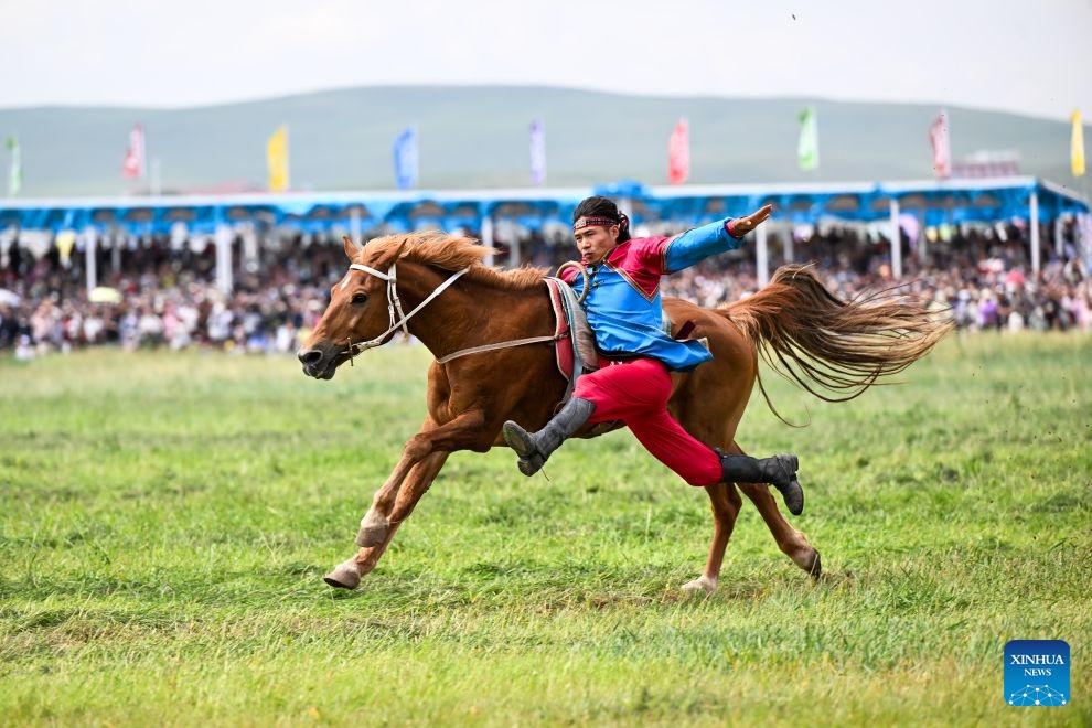 An artist performs with a horse at the opening ceremony of the 36th Naadam festival in Xilin Gol League, north China's Inner Mongolia Autonomous Region, July 18, 2026. The Naadam festival kicked off here on Saturday. Naadam, usually held in mid-summer and sometimes in winter in pastoral areas of Inner Mongolia, means games in the Mongolian language. It often comprises wrestling, archery, and horse racing, also known as the Three Games of Men. (Photo: Xinhu)