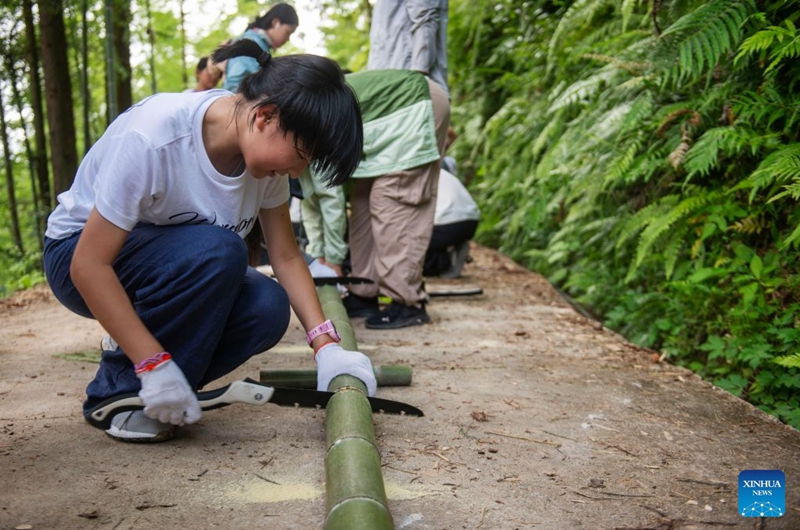A girl from Shanghai saws a bamboo to make tableware for a picnic in Meide Village of Congjiang County, Qiandongnan Miao and Dong Autonomous Prefecture, southwest China's Guizhou Province, July 15, 2026. In the summer vacation, a surging number of students from big cities like Shanghai and Shenzhen come to Meide Village of Qiandongnan Miao and Dong Autonomous Prefecture for a study tour, living with local people and experiencing the culture and customs of the Dong ethnic group. Photo: Xinhua