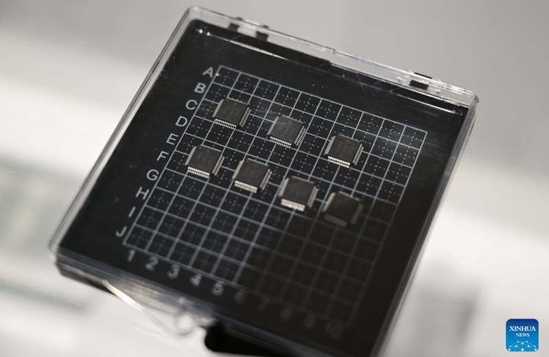 This photo taken on July 17, 2026 shows a brain signal acquisition chip at an exhibition hall of Anhui North Microelectronics Research Institute Group Co., Ltd. in Bengbu, east China's Anhui Province. Bengbu, a traditional industrial city, has stepped up the development of its brain-computer interface (BCI) industry in recent years. By strengthening collaboration among industry, research institutes and medical institutions, Bengbu has built an innovation ecosystem that supports both BCI research and clinical application, aiming to become an emerging BCI innovation hub in the Yangtze River Delta region. Photo: Xinhua