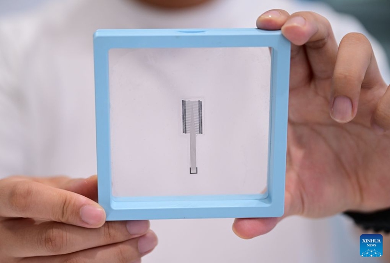 A staff member demonstrates a domestic implantable neural electrode at the exhibition hall of China Sensor Valley in Bengbu, east China's Anhui Province, July 17, 2026. Bengbu, a traditional industrial city, has stepped up the development of its brain-computer interface (BCI) industry in recent years. By strengthening collaboration among industry, research institutes and medical institutions, Bengbu has built an innovation ecosystem that supports both BCI research and clinical application, aiming to become an emerging BCI innovation hub in the Yangtze River Delta region. Photo: Xinhua