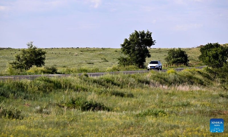 A car runs through the Xilingol grassland in north China's Inner Mongolia Autonomous Region, July 19, 2026. (Xinhua/Li Zhipeng)