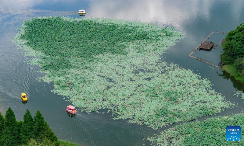 An aerial drone photo taken on July 18, 2026 shows tourists enjoying the scenery at a wetland park in Kunming City, southwest China's Yunnan Province, July 18, 2026. (Photo by Xiong Pingxiang/Xinhua)