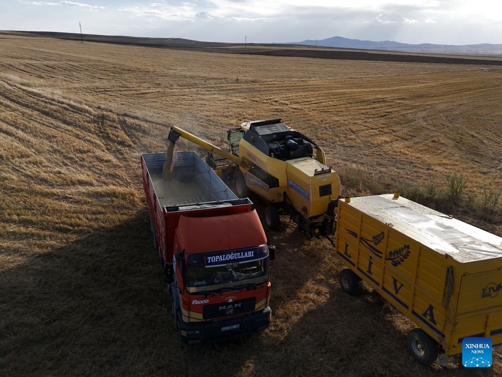 An aerial drone photo shows a harvester at a wheat field in Ankara, Türkiye, on July 19, 2026. (Mustafa Kaya/Handout via Xinhua)