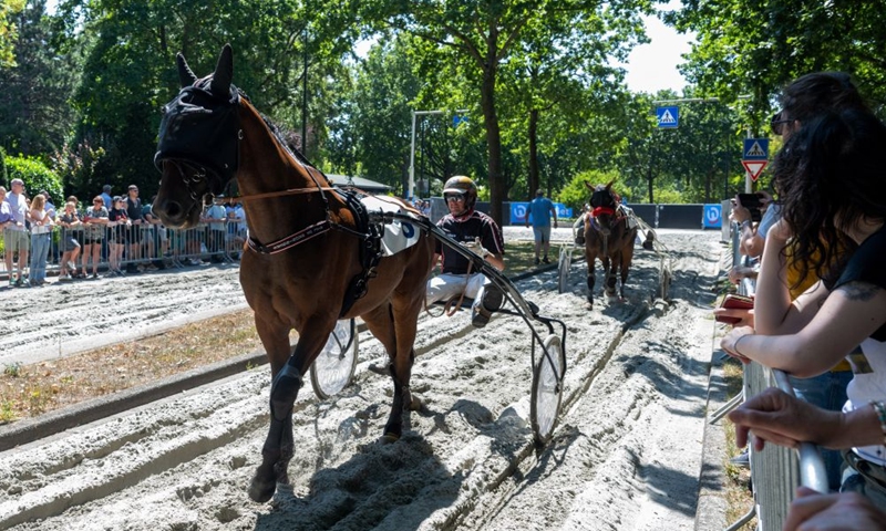 Horses race in the annual short-distance horse race, a tradition dating back to 1924 in Voorschoten, the Netherlands, July 25, 2026. (Photo by Monique Shaw/Xinhua)