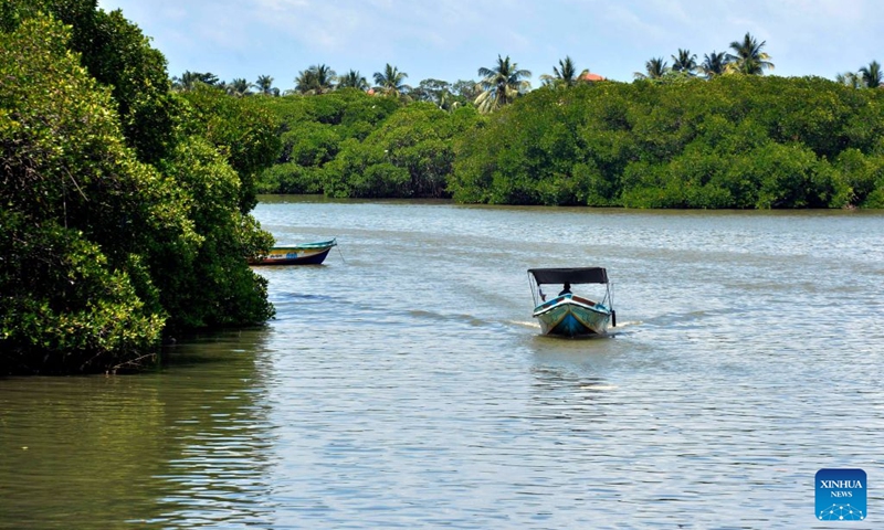 People boat near the mangroves in the Negombo Lagoon in Negombo, Sri Lanka on July 24, 2026. July 26 marks the International Day for the Conservation of the Mangrove Ecosystem. Sri Lanka's mangroves play an important role in purifying seawater, buffering coastal storms, sequestering carbon and sustaining biodiversity. (Photo by Gayan Sameera/Xinhua)
