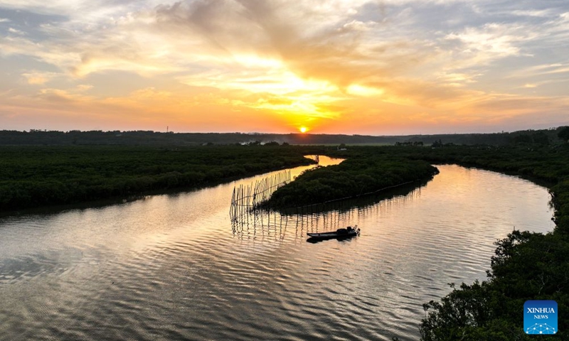 A drone photo taken on July 24, 2026 shows a view of the Shankou Mangrove Nature Reserve in Hepu County of Beihai City, south China's Guangxi Zhuang Autonomous Region. Established in 1990, the Shankou Mangrove Nature Reserve is designated to protect the natural mangrove ecosystem, serving as one of the country's major mangrove germplasm bases and gene banks. (Xinhua/Cao Yiming)