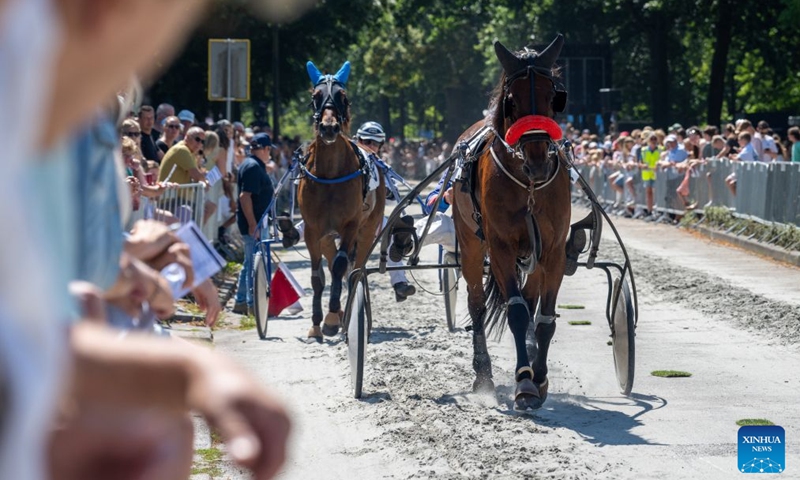 Horses race in the annual short-distance horse race, a tradition dating back to 1924 in Voorschoten, the Netherlands, July 25, 2026. (Photo by Monique Shaw/Xinhua)
