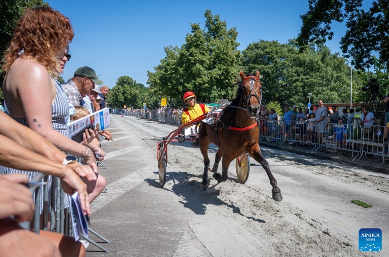 A horse races in the annual short-distance horse race, a tradition dating back to 1924 in Voorschoten, the Netherlands, July 25, 2026. (Photo by Monique Shaw/Xinhua)