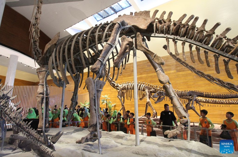 Students view dinosaur fossils at the Tahir Solo Museum in Surakarta, Indonesia, July 25, 2026. (Photo by Bram Selo/Xinhua)