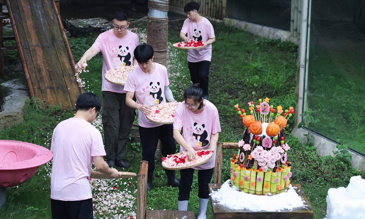 Zoo staff prepare a fruit-and-vegetable cake and decorate the enclosure with flower petals for giant panda Qi Ying's second birthday at Chongqing Zoo on June 28, 2026. Photo: VCG