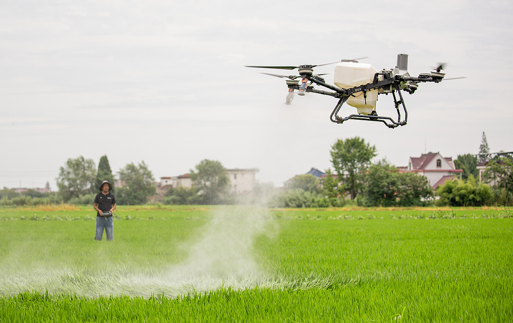 A farmer operates a plant protection drone as part of summer  rice management in Shizong township of Tongzhou district in Nantong, East China's Jiangsu Province, on July 27, 2026. As local farmers race to carry out field work during this critical period for summer rice crops, they use modern agricultural machinery to help ensure stable grain output and improved quality. Photo: VCG