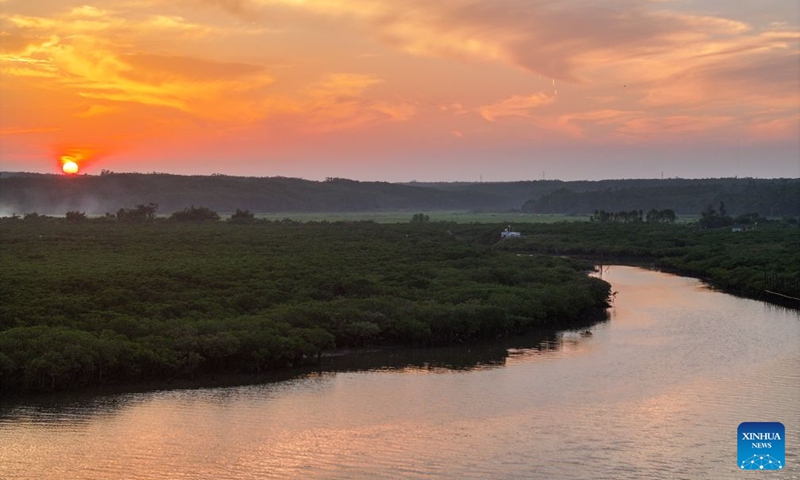 A drone photo taken on July 24, 2026 shows a view of the Shankou Mangrove Nature Reserve in Hepu County of Beihai City, south China's Guangxi Zhuang Autonomous Region. Established in 1990, the Shankou Mangrove Nature Reserve is designated to protect the natural mangrove ecosystem, serving as one of the country's major mangrove germplasm bases and gene banks. (Xinhua/Cao Yiming)