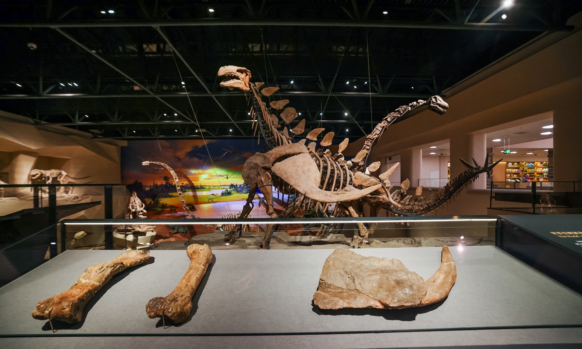 The Zigong Dinosaur Museum