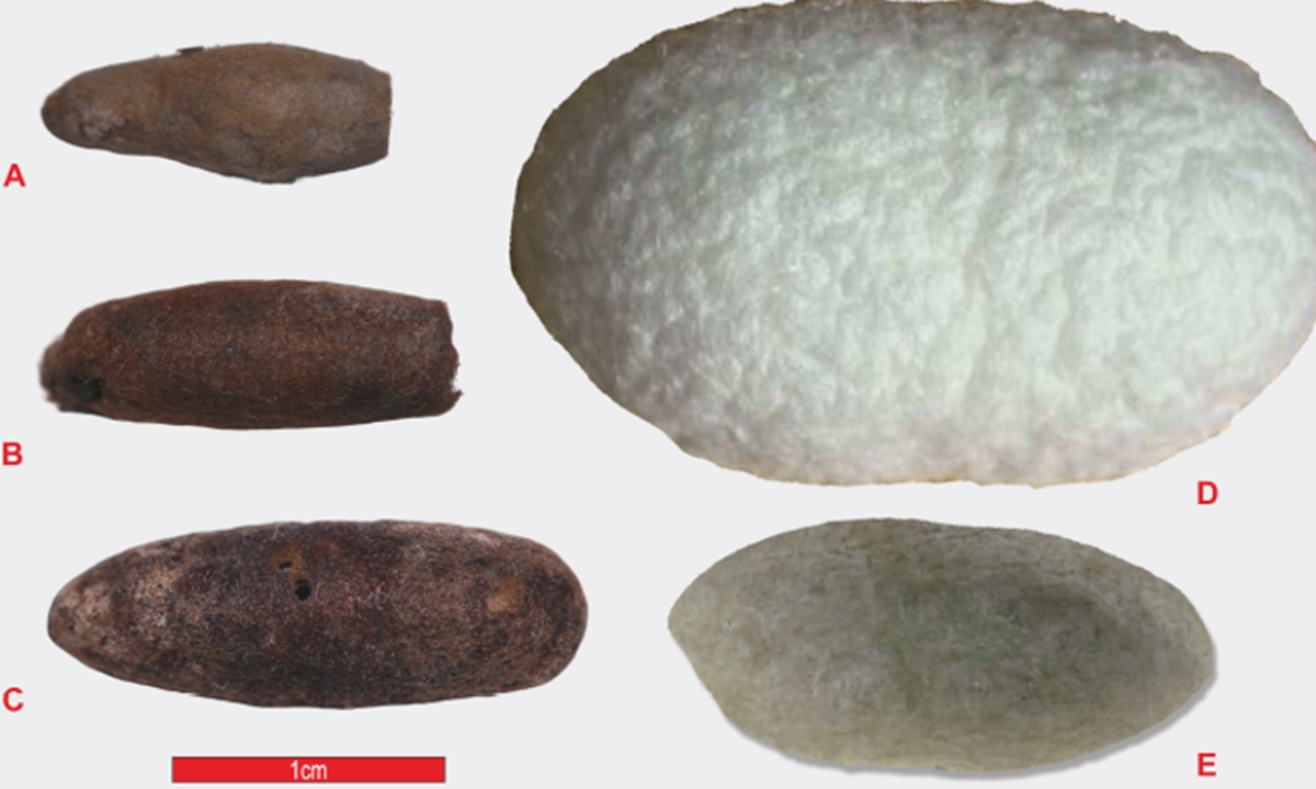Photo: Courtesy of Zhou Xinying, a research fellow of the Institute of Vertebrate Paleontology and Paleoanthropology (IVPP), Chinese Academy of Sciences