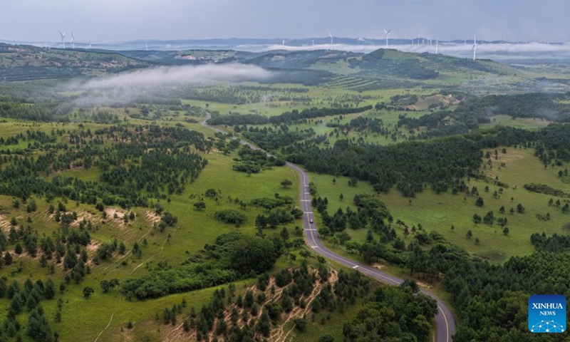 This aerial drone photo taken on Aug. 1, 2026 shows the scenery of Bashang grassland in Weichang Man and Mongolian Autonomous County in Chengde City, north China's Hebei Province. (Photo by Liu Mancang/Xinhua)