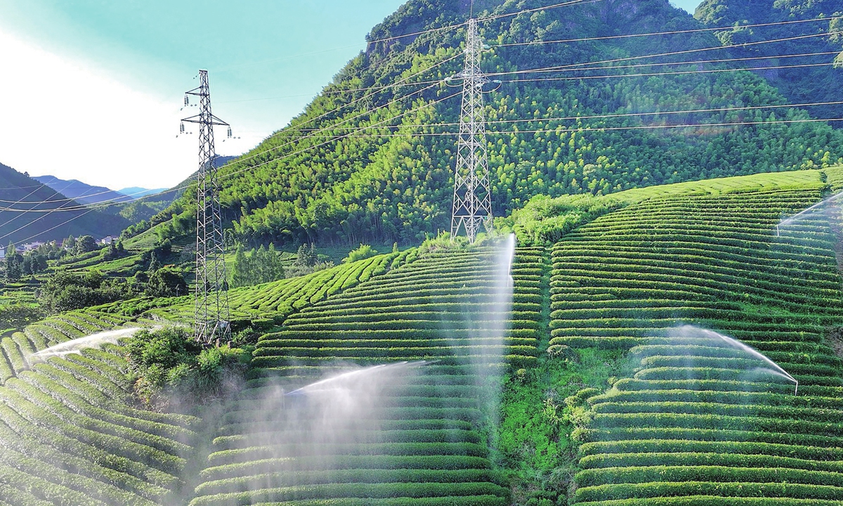 A tea garden in Jinhua, East China's Zhejiang Province, has turned on intelligent automatic sprinkler systems on August 2, 2026 to provide water for drought-affected tea plants, helping protect yields. Photo: VCG