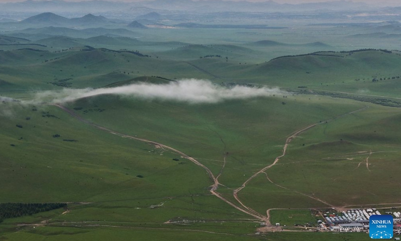 This aerial drone photo taken on Aug. 1, 2026 shows the scenery of Bashang grassland in Weichang Man and Mongolian Autonomous County in Chengde City, north China's Hebei Province. (Photo by Liu Mancang/Xinhua)